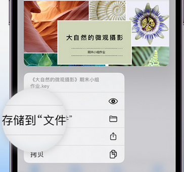 澄迈apple维修中心分享iPhone文件应用中存储和找到下载文件