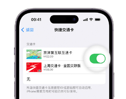 澄迈apple维修点分享iPhone上更换Apple Pay快捷交通卡手绘卡面 