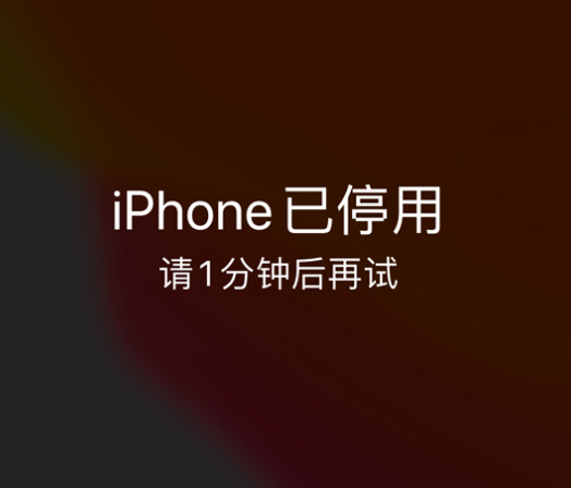 澄迈苹果手机维修分享:iPhone 显示“不可用”或“已停用”怎么办？还能保留数据吗？ 
