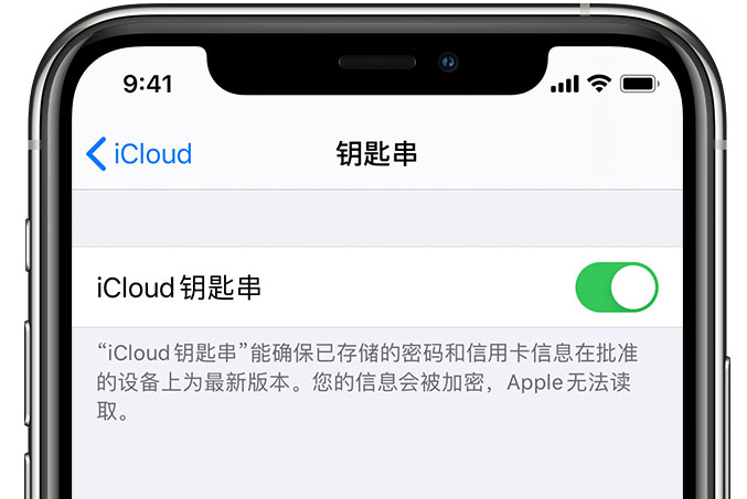 澄迈苹果手机维修分享在 iPhone 上开启 iCloud 钥匙串之后会储存哪些信息 