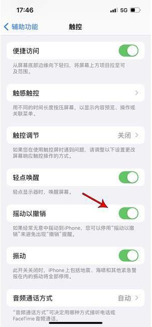 澄迈苹果手机维修分享iPhone手机如何设置摇一摇删除文字 