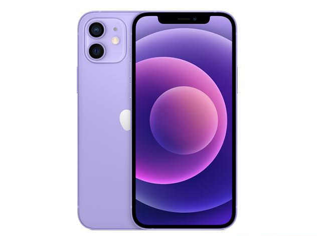 澄迈苹果手机维修分享现阶段要不要入手紫色版iPhone12 
